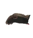 pbkl6l7mgbdjpgnewpky.webp