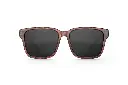 Tortoise-Black-Front_4fed441a-34dc-4629-9dca-d598b767bcee.webp