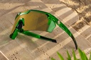 cycad_green_03.jpg