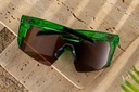 cycad_green_05.jpg