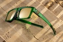 cycad_green_02.jpg