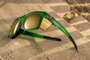 pv_cycad_green_02.jpg