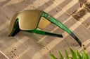 pq_cycad_green_02.jpg