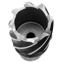 49-59-1000_2_tif.jpg