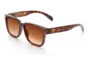 Apollo Sunglasses: Tortoise (Brown Lurk Lens)